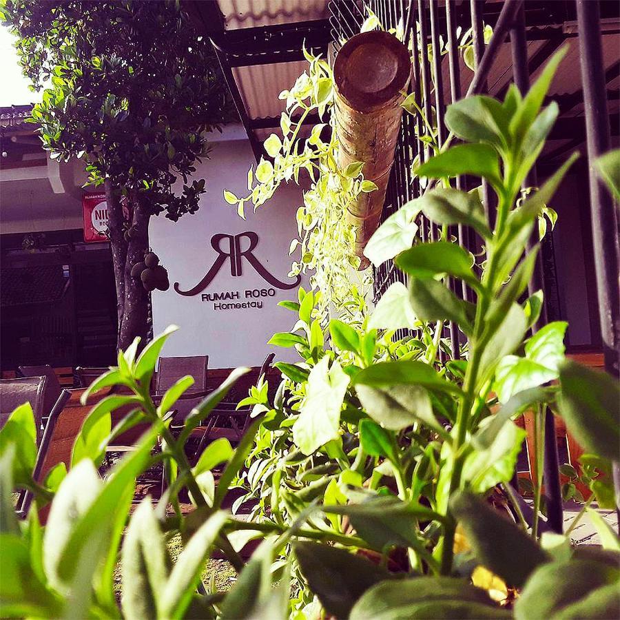 Rumah Roso Homestay يوغياكارتا المظهر الخارجي الصورة